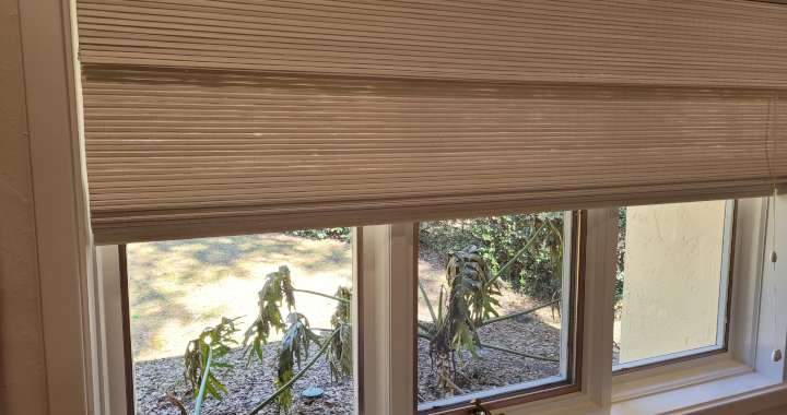 Best Custom Blinds and Shutters for Homes in North Central Florida