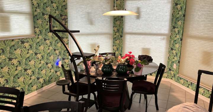 Exterior Screen Shades for Patios, Porches, and Florida Outdoor Living