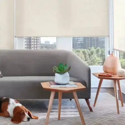 Hunter Douglas Duolites