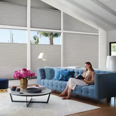 Cellular, Honeycomb, & Duette Shades