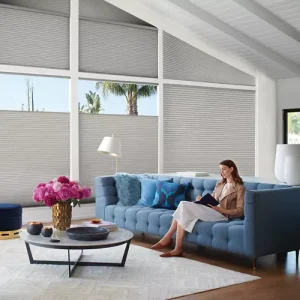 Cellular, Honeycomb, & Duette Shades